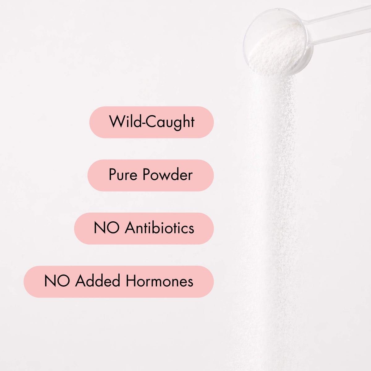 Hydrolysed Marine Collagen Peptides, Wild-Caught, Unflavored - 280g